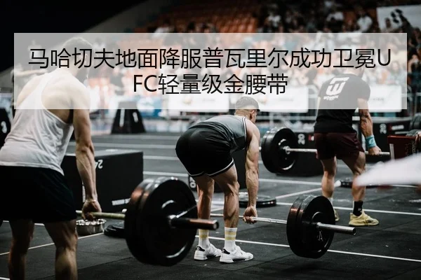 马哈切夫地面降服普瓦里尔成功卫冕UFC轻量级金腰带